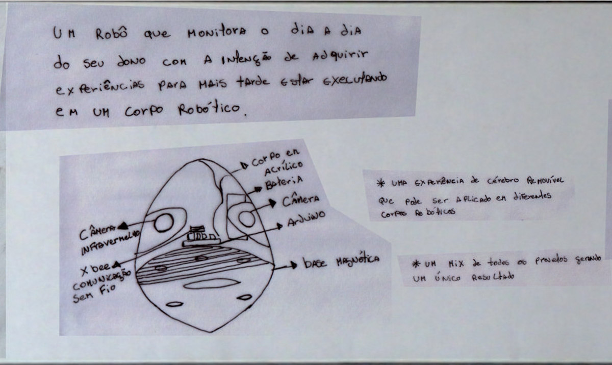 Acompanhante Diario